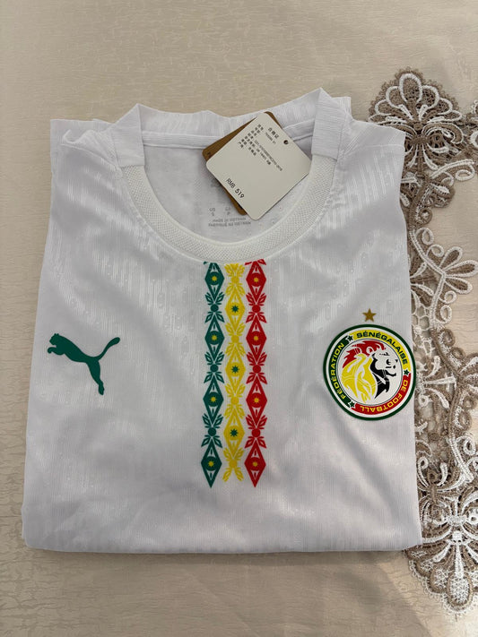 Sénégal maillot Domicile Homme 25/26