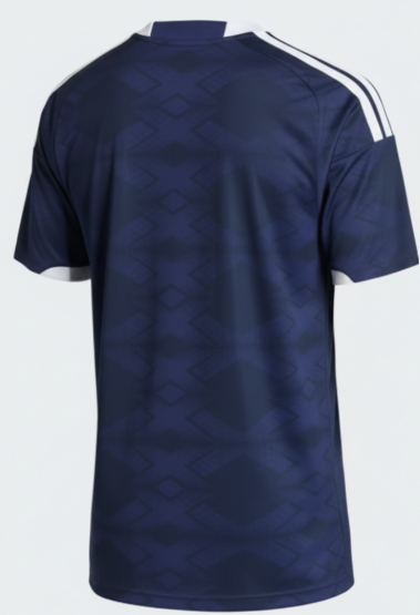 Ecosse Maillot Domicile Coupe du Monde 2026