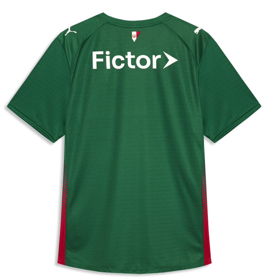 Palmeiras Maillot Domicile 2025/26