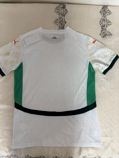 Côte d’Ivoire Maillot Extérieur Homme 25/26
