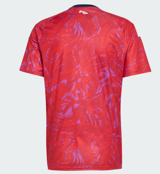 Costa Rica Maillot Domicile 2026