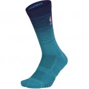 Chaussettes Charlotte Hornets City Edition Jordan Elite Quick Violet Réduction