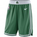 Collection Short Boston Celtics Icon Edition Swingman Vert