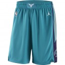 Short Charlotte Hornets Icon Edition Swingman Jordan Bleu En Ligne